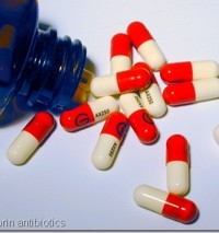 A Guide to Storing Prepper Antibiotics - Disaster Preparedness