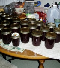 Cooking & Canning at Home - a Prepper Checklist For Food Preservation