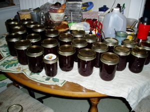 Cooking & Canning at Home - a Prepper Checklist For Food Preservation